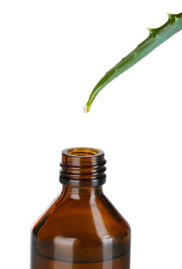 beyaz izole aloe üzerinden düşen damla
