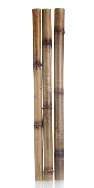 Bâtons de bambou sec isolés sur blanc — Photo