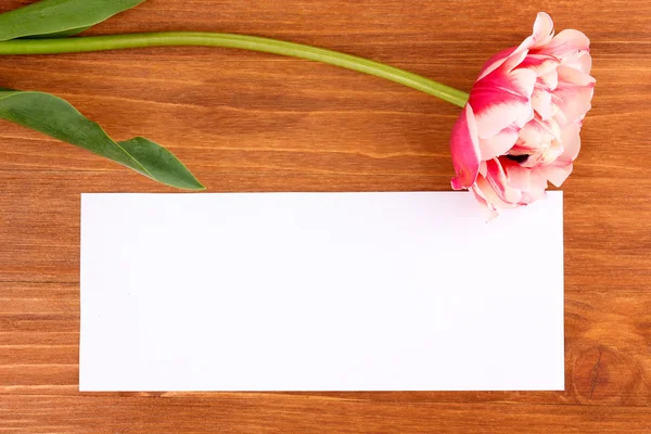 Hermoso tulipán y tarjeta sobre fondo de madera —  Fotos de Stock