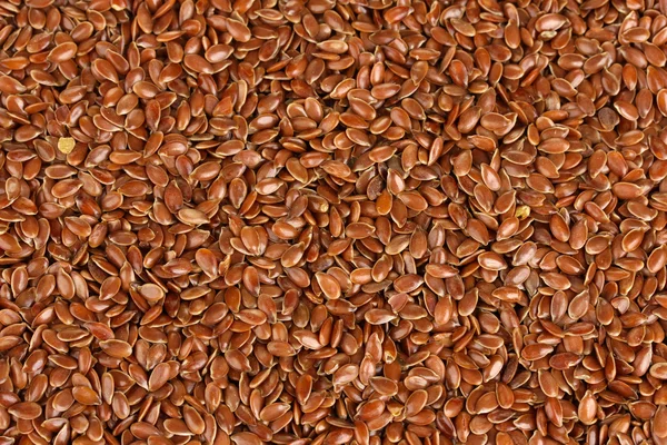 Sfondo semi di lino — Foto Stock