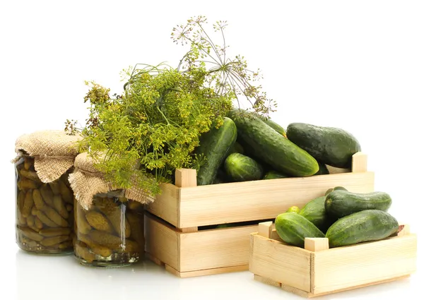 Verse komkommer in houten kisten, augurken en dille geïsoleerd op wit — Stockfoto