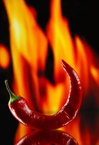 Red hot chili papričky na ohni pozadí — Stock fotografie