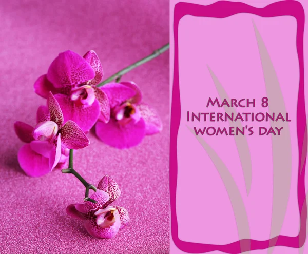 Bella orchidea su sfondo viola — Foto Stock