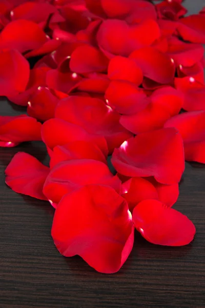 Beautiful petals of red roses on wooden table close-up — Stock Photo, Image