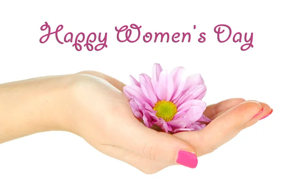 Красивый фиолетовый цветок у женщин рука изолирована на белом — стоковое фото