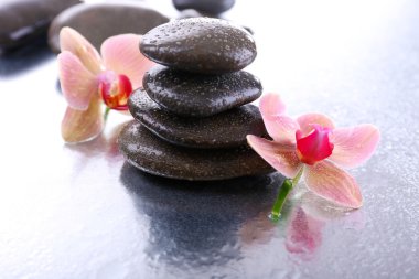 Su damlaları ve spa taşı, açık renkli güzel çiçek açan orkide ile kompozisyon