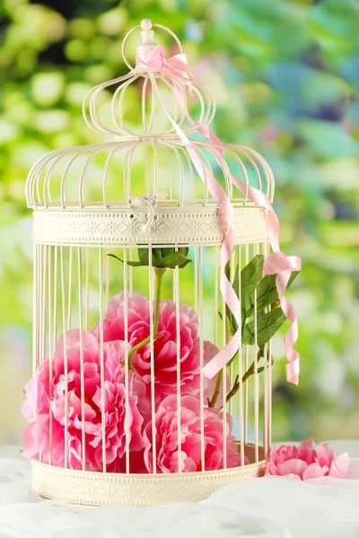 Beautiful decorative cage with beautiful flowers, on nature background — Stock Photo, Image