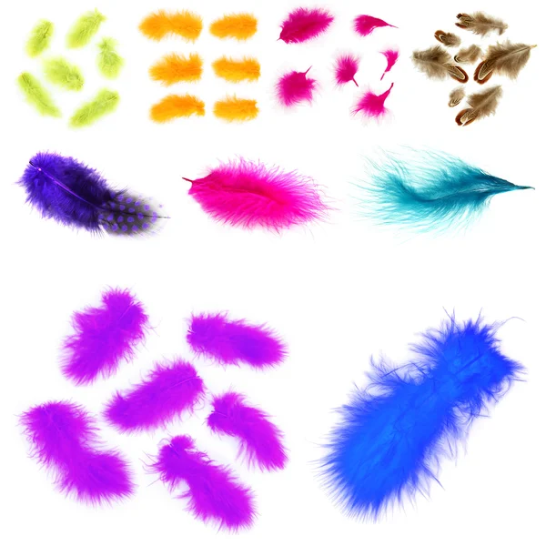 Collage de plumas coloridas aisladas en blanco —  Fotos de Stock