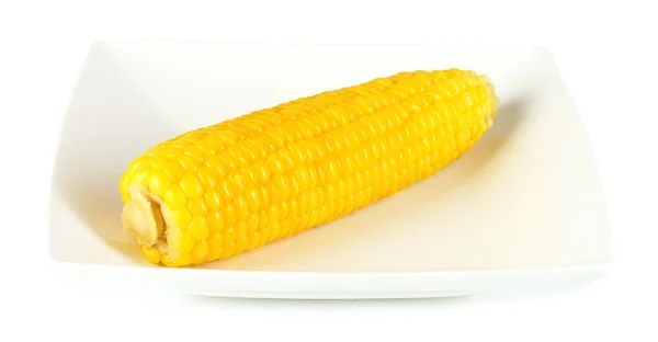 Boiled corn isolated on white on the white plate — Stock Photo, Image