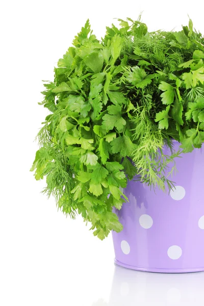 Colorful bucket with parsley and dill isolated on white — Stock Photo, Image