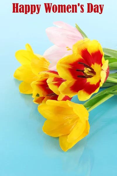 Belles tulipes dans un seau sur fond bleu — Photo