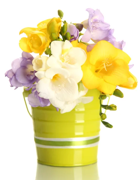 Beautiful bouquet of freesias in pail, isolated on white — Stock Photo, Image