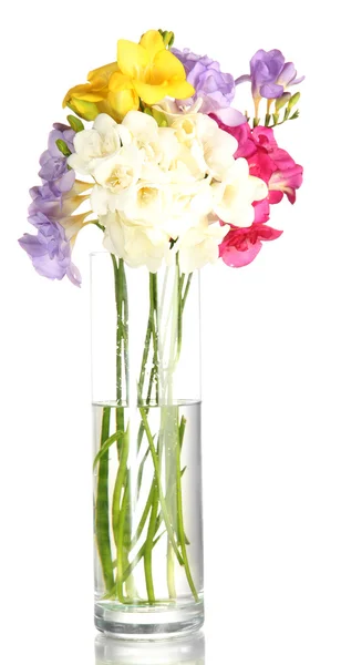 Beautiful bouquet of freesias in transparent vase, isolated on white — Stock Photo, Image