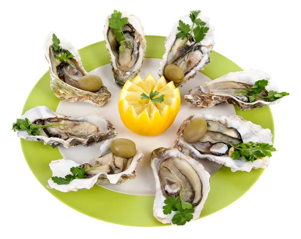 Oesters geïsoleerd op wit — Stockfoto