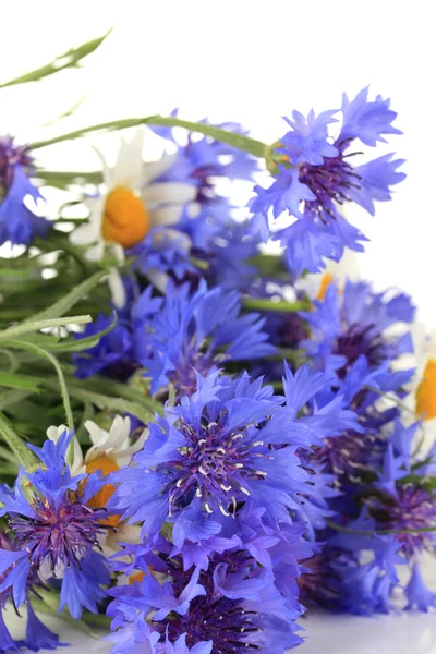 Beautiful bouquet of cornflowers and chamomiles ,isolated on white — Stock Photo, Image