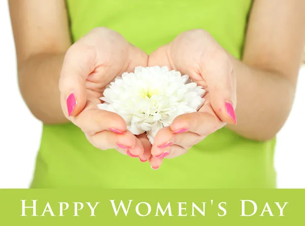 Beautiful white flower in women hands — Stock Photo, Image