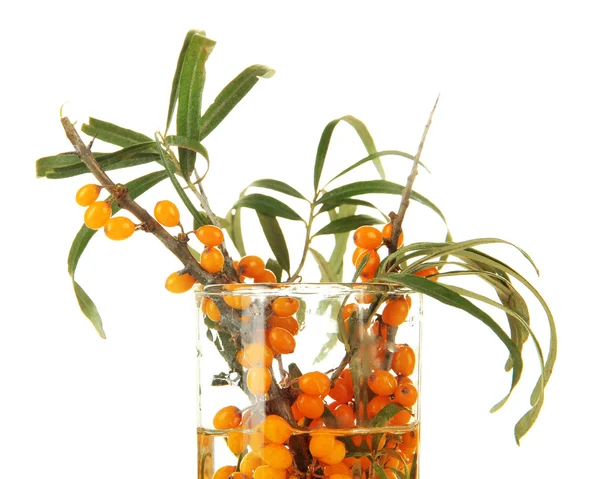 Branches of sea buckthorn in glass vase isolated on white — Stock Photo, Image