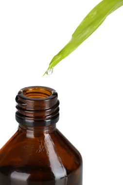 yaprak üzerine beyaz izole dan düşen damla