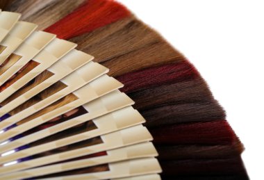 beyaz izole farklı renkteki saç örnekleri