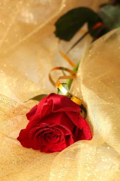 Hermosa rosa sobre fondo de tela de color — Foto de Stock