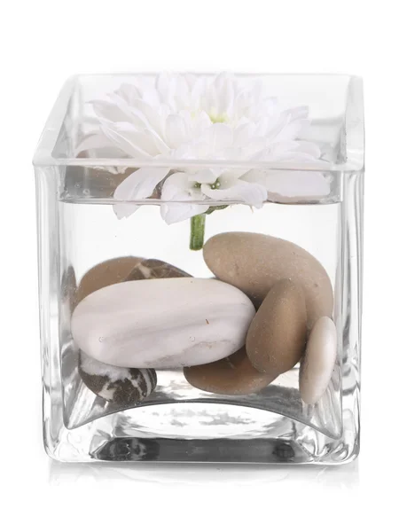 Decorative vase with flower, water and stones isolated on white — Stock Photo, Image