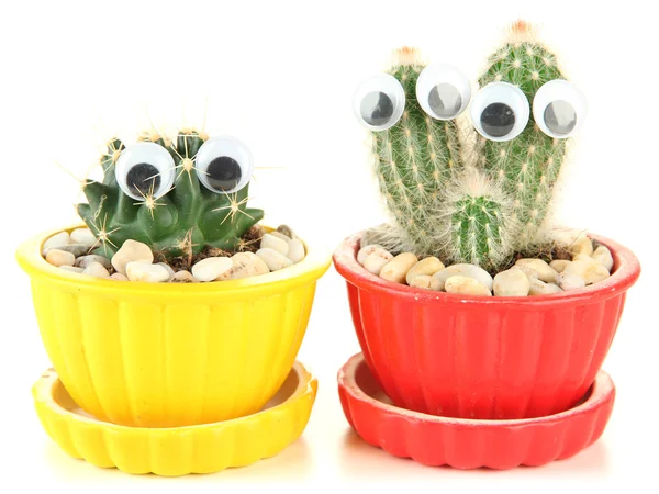 Kaktusar i blomkrukor med roliga ögon, isolerad på vit — Stockfoto