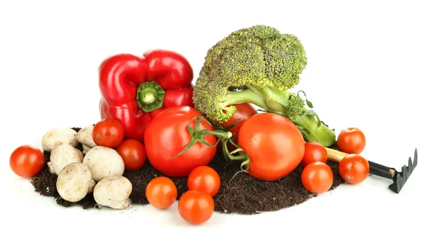 Warzywa na ziemi na białym tle — Zdjęcie stockowe