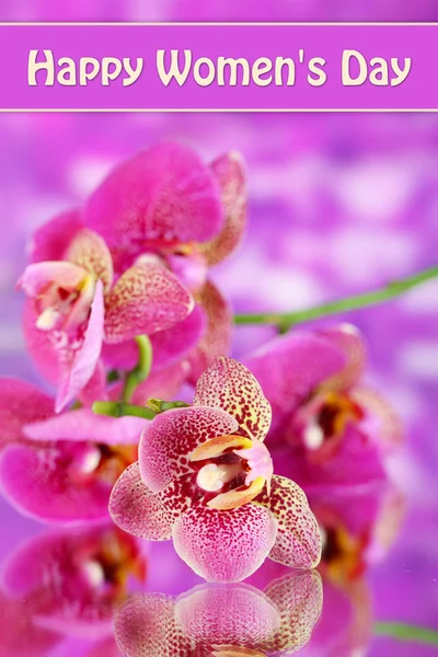 Mor zemin üzerine güzel orkide — Stok fotoğraf