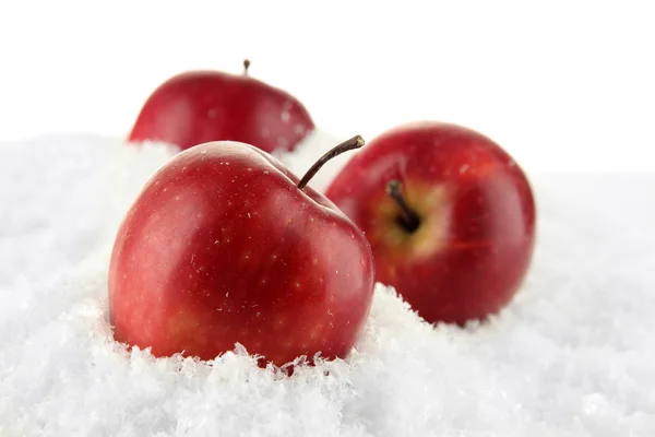 Pommes rouges dans la neige isolées sur blanc — Photo
