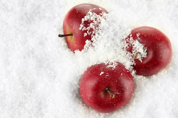 Czerwone jabłka w śniegu z bliska — Zdjęcie stockowe