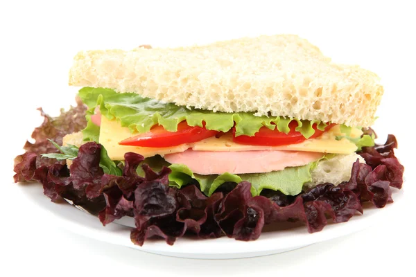 Sandwich fresco y sabroso aislado en blanco — Foto de Stock