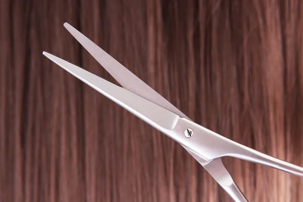 Long brown hair with scissors on close up — Stock Photo, Image