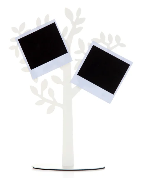 Soporte en forma de árbol con tarjetas de fotos instantáneas aisladas en blanco — Foto de Stock