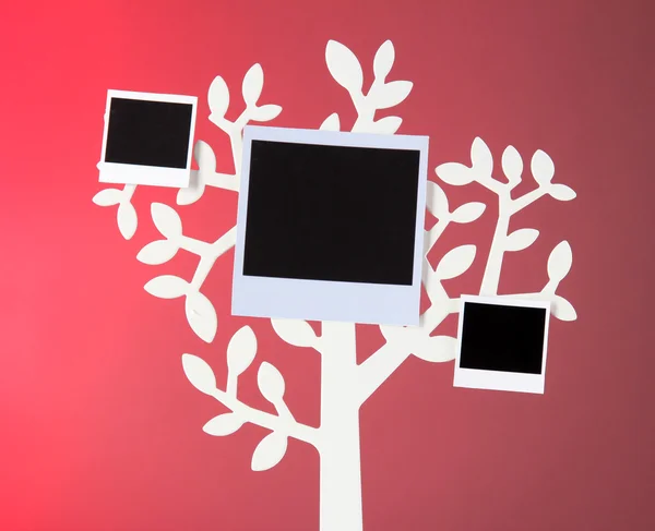 Hållare i form av träd med ögonblick Fotokort på mörk färgbakgrund — Stockfoto