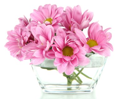 güzel çiçekler üzerinde beyaz izole kase