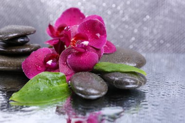 Güzel çiçek açan orkide su damlaları ve açık renk arka plan üzerinde spa taşlar ile kompozisyon