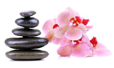güzel çiçek açan orkide su damlaları ve üzerinde beyaz izole spa taşlar ile kompozisyon