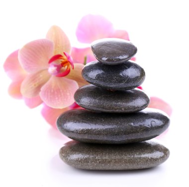 güzel çiçek açan orkide su damlaları ve üzerinde beyaz izole spa taşlar ile kompozisyon