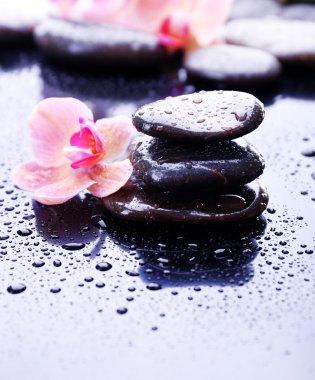 Su damlaları ve spa taşı, açık gri renkli güzel çiçek açan orkide ile kompozisyon