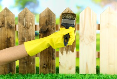 Parlak arkaplanda, ahşap çitlere koruyucu cila uygulanıyor