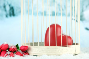 Kalp Kış zemin üzerine dekoratif kafes içinde