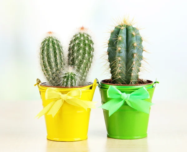 Beautiful cactuses in bright pails on wooden table — Stock Photo, Image