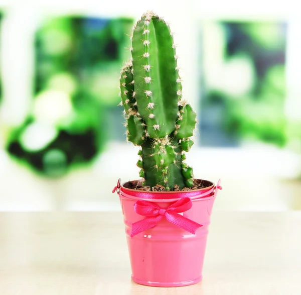 Beautiful cactus in bright pail on wooden windowsill — Stock Photo, Image