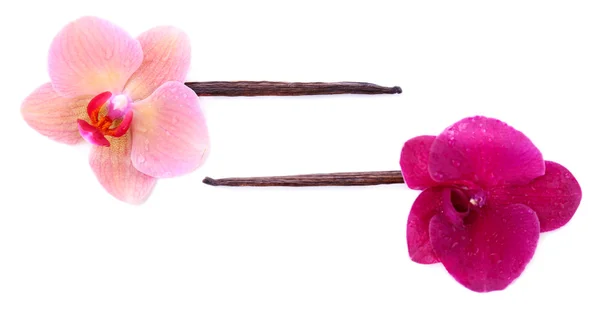 Hermosas flores de orquídea en flor y varillas de vainilla aisladas en blanco —  Fotos de Stock