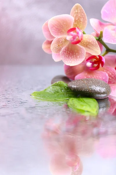 Composición con hermosa orquídea floreciente con gotas de agua y piedras de spa, sobre fondo de color claro —  Fotos de Stock