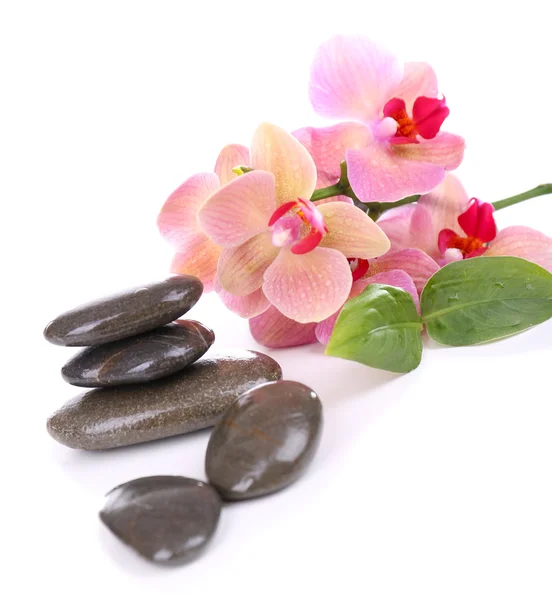 Composición con hermosa orquídea floreciente con gotas de agua y piedras de spa, aisladas en blanco —  Fotos de Stock