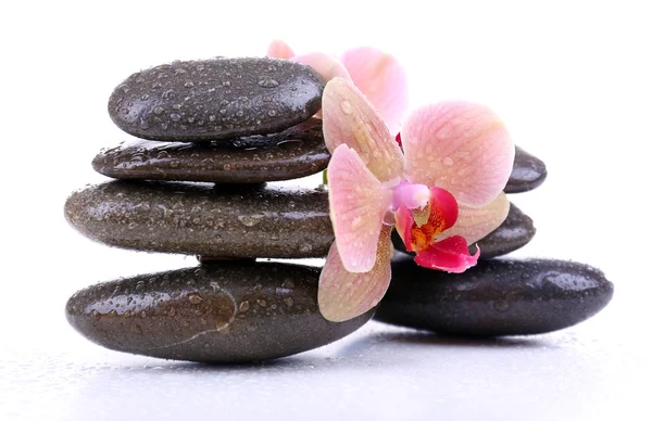 Composición con hermosa orquídea floreciente con gotas de agua y piedras de spa, aisladas en blanco —  Fotos de Stock