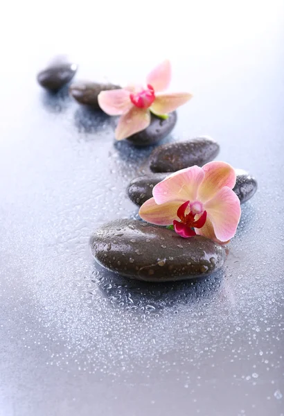Composición con hermosa orquídea floreciente con gotas de agua y piedras de spa, sobre fondo claro —  Fotos de Stock
