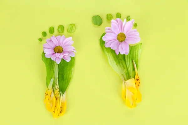 Empreintes de feuilles et de fleurs sur fond jaune — Photo