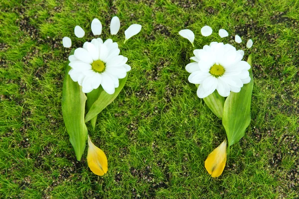 Footprints of leaves and flowers on grass close-up — Stock Photo, Image